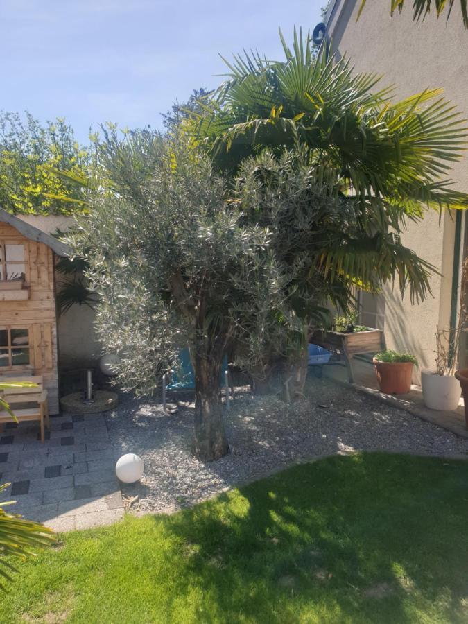 Ferienhaus Mosonbánfalva Kültér fotó